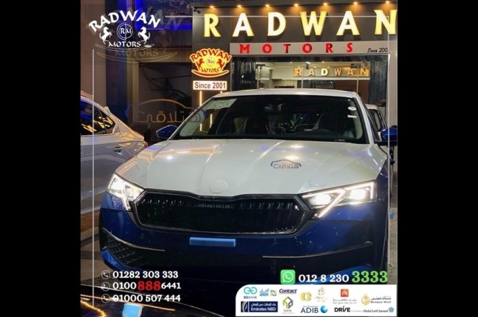 used-skoda-octavia-a8-2025-for-sale-cairo-big-0